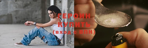 дживик Няндома