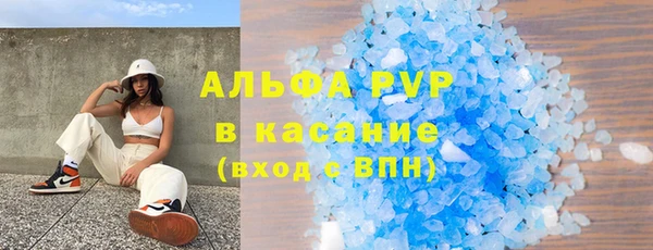 дживик Няндома