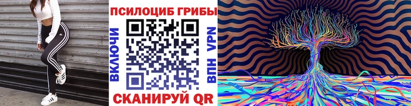 Галлюциногенные грибы Psilocybine cubensis  Азнакаево 
